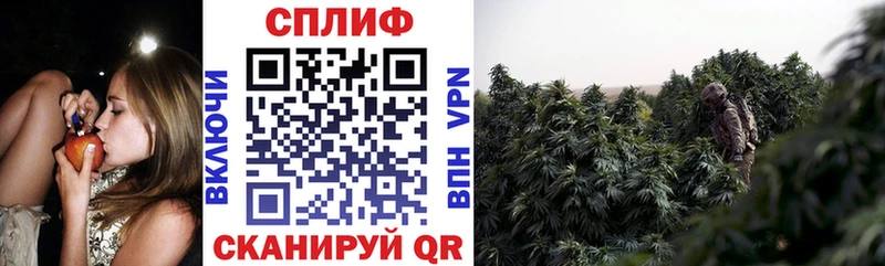 Виды наркоты Ногинск Каннабис Амфетамин ГАШ LSD-25 Cocaine OMG как войти Меф