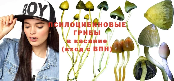 2c-b Великий Новгород
