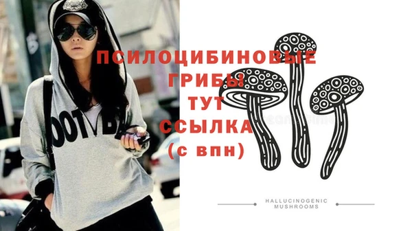 спиды Навашино