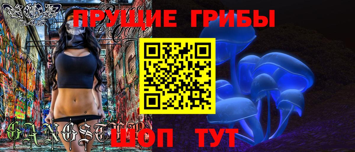 Псилоцибиновые грибы Psilocybe Ногинск