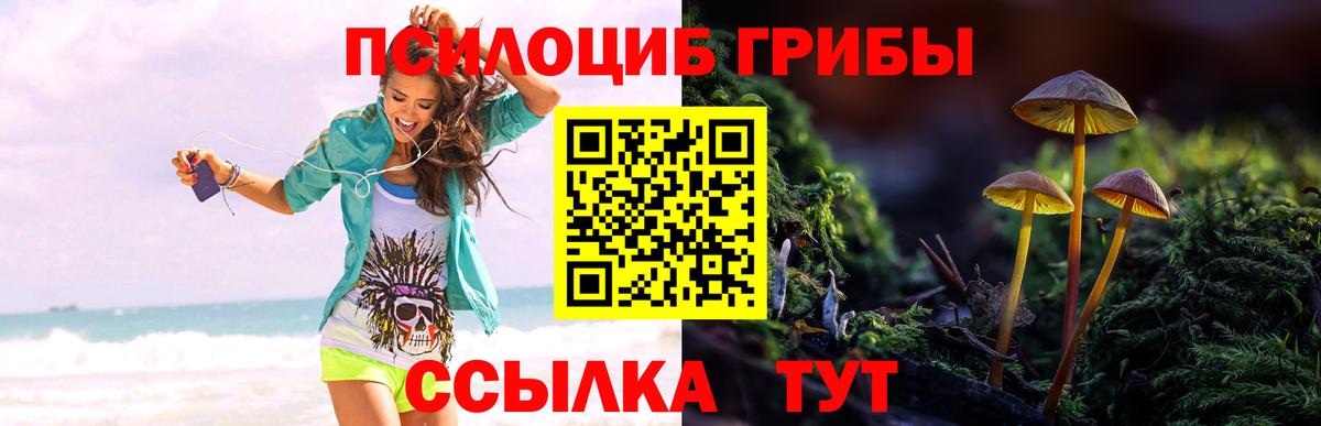 Псилоцибиновые грибы ЛСД  Ногинск 