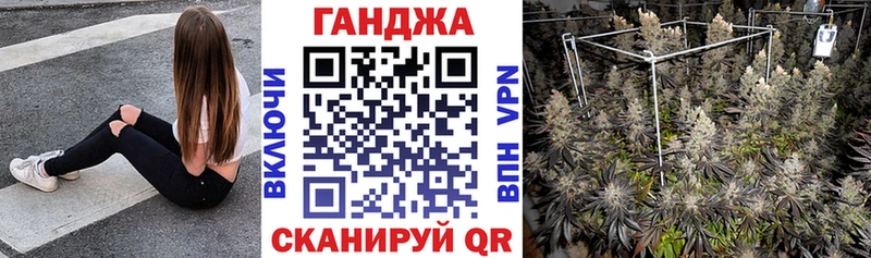 купить наркотики цена  Ногинск  OMG как зайти  Конопля индика 